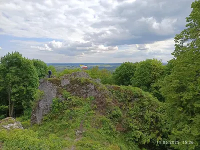 a person standing on top of a hill with trees at Jura - Chata pod Grodziskiem Pańskim in Domaniewice