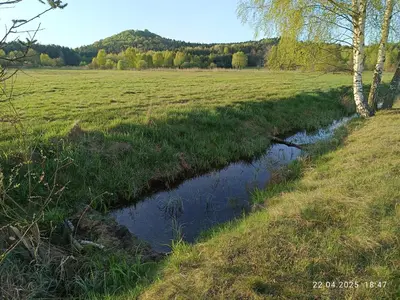 a stream in a field next to a field with trees at Jura - Chata pod Grodziskiem Pańskim in Domaniewice