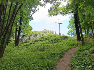 a cross on top of a hill with a trail at Jura - Chata pod Grodziskiem Pańskim in Domaniewice