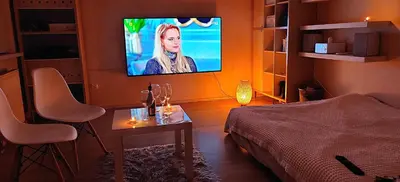 a living room with a bed and a flat screen tv at Cozy Studio for a Couple - 10 min from the airport in Kraków