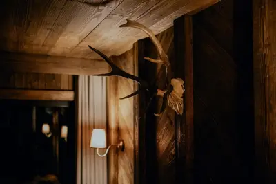 two framed pictures of a deer in a forest at Na Gorczańskim Wierchu Chalet, sauna i balia na wyłączność in Rabka