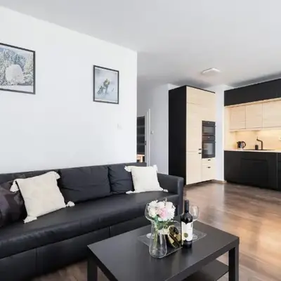 Spacious Studio Zabłocie with Balcony Krakow