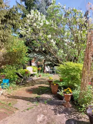 a garden with several potted plants and trees at Apartament Różana przy ICE in Kraków