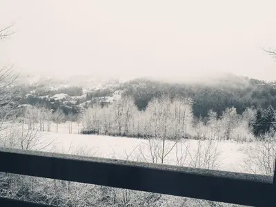 a view of a snow covered field and trees at Piernikowa Chata in Zawoja