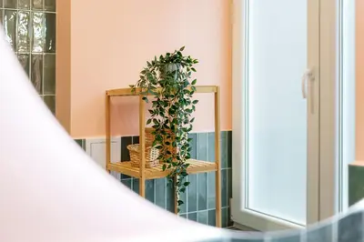 a room with a shelf with a plant on it at Candy Colored House - Old Town in Kraków