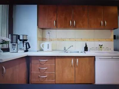 a kitchen with wooden cabinets and a sink at Old Anser City in Kraków