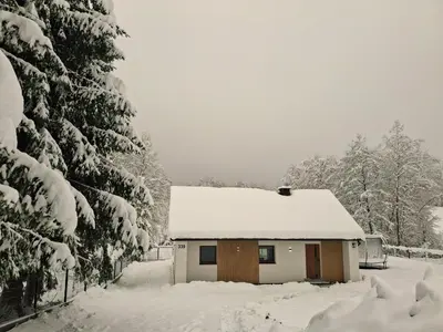 a house covered in snow next to a tree at Domki nad potokiem in Lipnica Murowana