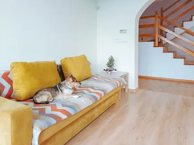 a dog sitting on a couch in a living room at Zwierzogród in Rabka
