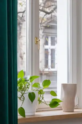 two plants sitting on a window sill in front of a window at Cozy apartment - Augustiańska 1 street in Kraków