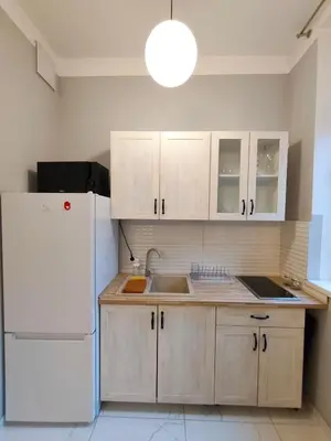 a kitchen with a white refrigerator and a sink at Daniel Apart Hotel Krakow Comfort in Kraków