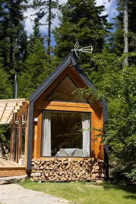 a cabin in the woods with a black roof at Tiny house nad potokiem in Ohłypów
