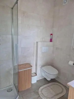 a bathroom with a shower and a toilet and a sink at Domek Pod Babim Szczytem in Zubrzyca Górna