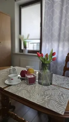 a room with a wooden dresser and a closet at Park & Arena Apartament Kraków in Kraków