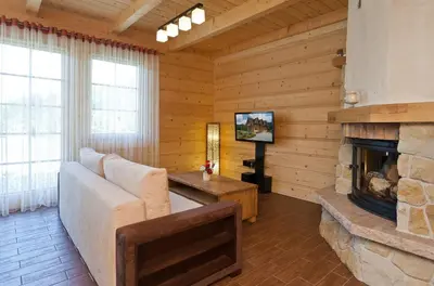 a living room with a couch and a fireplace at Gorczański Domek - Koninki in Poręba Wielka