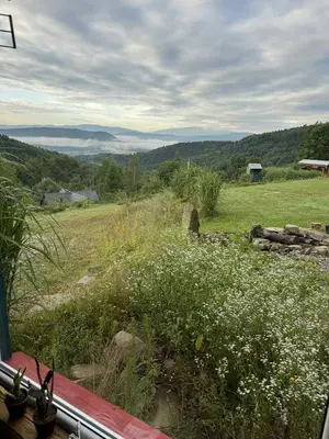 a view of a field of grass and flowers at Willa pod Leskowcem - agroturystyka - pokoje pod wynajem in Jaszczurowa