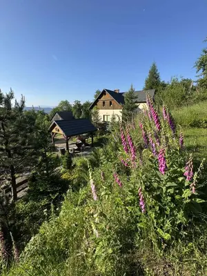 a bench in front of a house with purple flowers at Willa pod Leskowcem - agroturystyka - pokoje pod wynajem in Jaszczurowa