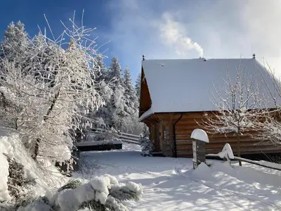 a cabin with snow on the roof and trees at Blejkówka in Stryszawa
