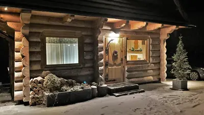 a log cabin with a door and a christmas tree at Blejkówka in Stryszawa