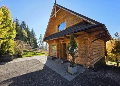 a log cabin with a potted tree in front of it at Blejkówka in Stryszawa