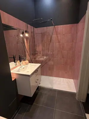 a bathroom with a shower and a sink at Two Paws Apartment in Kraków