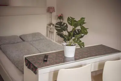 a living room with a table with a plant on it at 4Friends&4Couples in Kraków