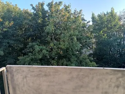 a skateboard ramp with trees in the background at CityLink Studio - Free Public Parking in Kraków