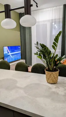 a potted plant sitting on a table with a laptop at City Heaven Bonarka Kraków in Kraków