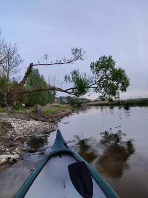 a view of the back of a canoe on a river at Apartament Pod Dębiną