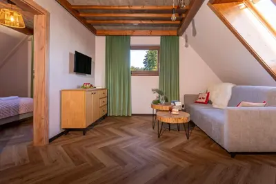 a living room with a couch and a tv at Olesiówka in Nowy Targ