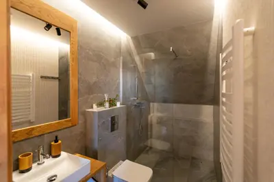 a bathroom with a shower and a toilet and a sink at Olesiówka in Nowy Targ