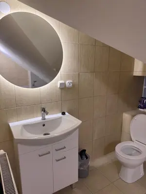 a bathroom with a sink and a mirror and a toilet at Leśna Przystań in Sidzina