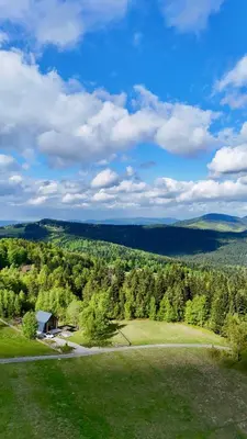 an aerial view of a green field with trees at MC Na Leśnej Polanie in Szczawa