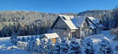 a house in the snow with snow covered trees at Pod Stokiem in Lubomierz