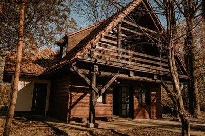a log cabin in the woods with trees at Domek Ostoja Zator Graboszyce in Graboszyce
