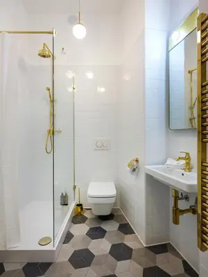 a bathroom with a shower and a toilet and a sink at Royal Vistula Luxury Apartment in Kraków