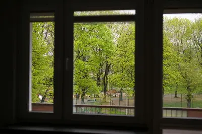 a view of a park from a window at Spacious oasis in the center in Kraków