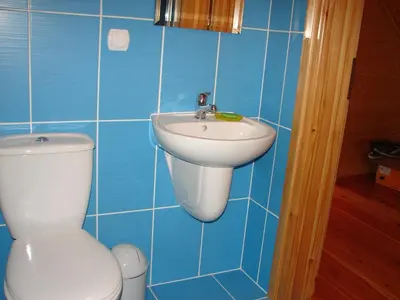 a blue tiled bathroom with a toilet and a sink at Agroturystyka Śliwkowy Sad in Biesiadki