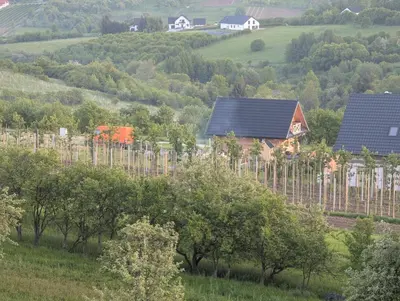 a group of houses on a hill with trees at Domek Gruszkowy Wzorek in Łącko