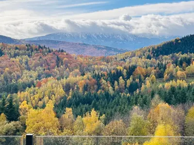 a forest of trees with mountains in the background at Babiogórski Azyl & SPA in Zawoja