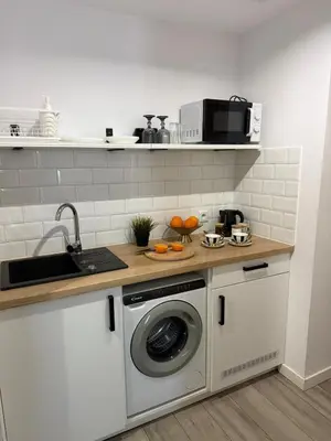 a kitchen with a sink and a washing machine at Golden Honey Apartment- Studio Cracow Old Town in Kraków