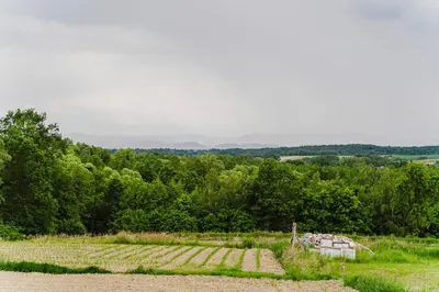 a vineyard with a house in the middle of a field at La Nostra Villa in Zator