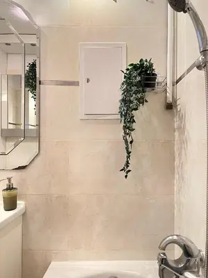a bathroom with a sink and a plant on the wall at Apartment for 7 guests in the city of Cracow in Kraków