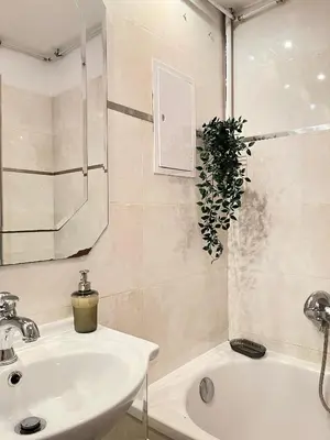 a bathroom with a sink and a plant next to a tub at Apartment for 7 guests in the city of Cracow in Kraków
