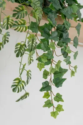 a green plant is hanging from a wall at Stylowy Apartament z Parkingiem & Balkonem, Blisko Wisły by Noclegi Renters in Kraków