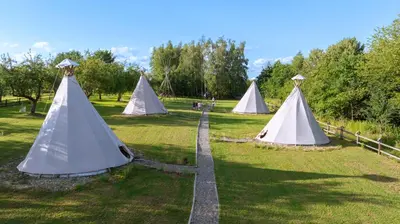 a group of tents in a field with grass at Moon Glamping