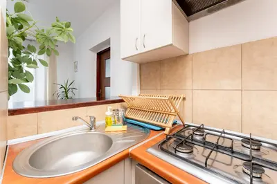 a kitchen with a sink and a stove at Odrzańska Urban Jungle Apartment by BookingHost in Kraków