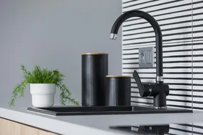 a kitchen sink with a faucet and a plant at Apartamenty EN Zator in Podolsze