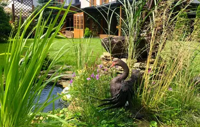 a black bird in the grass next to a pond at Art & Garden Residence in Kraków