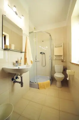 a bathroom with a shower and a sink and a toilet at Willa Julia in Kraków