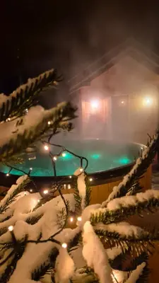 a snow covered tree with a bath tub with lights at Agroturystyka Sarenka in Podsarnie